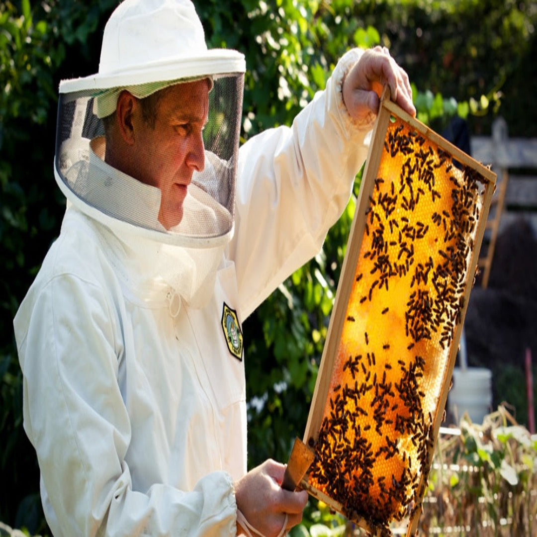 Bourbon Infused Honey at The Little Shop of Olive Oils.  Premium Extra Virgin Olive Oil, Aged Balsamic Vinegar, Gourmet Essentials.