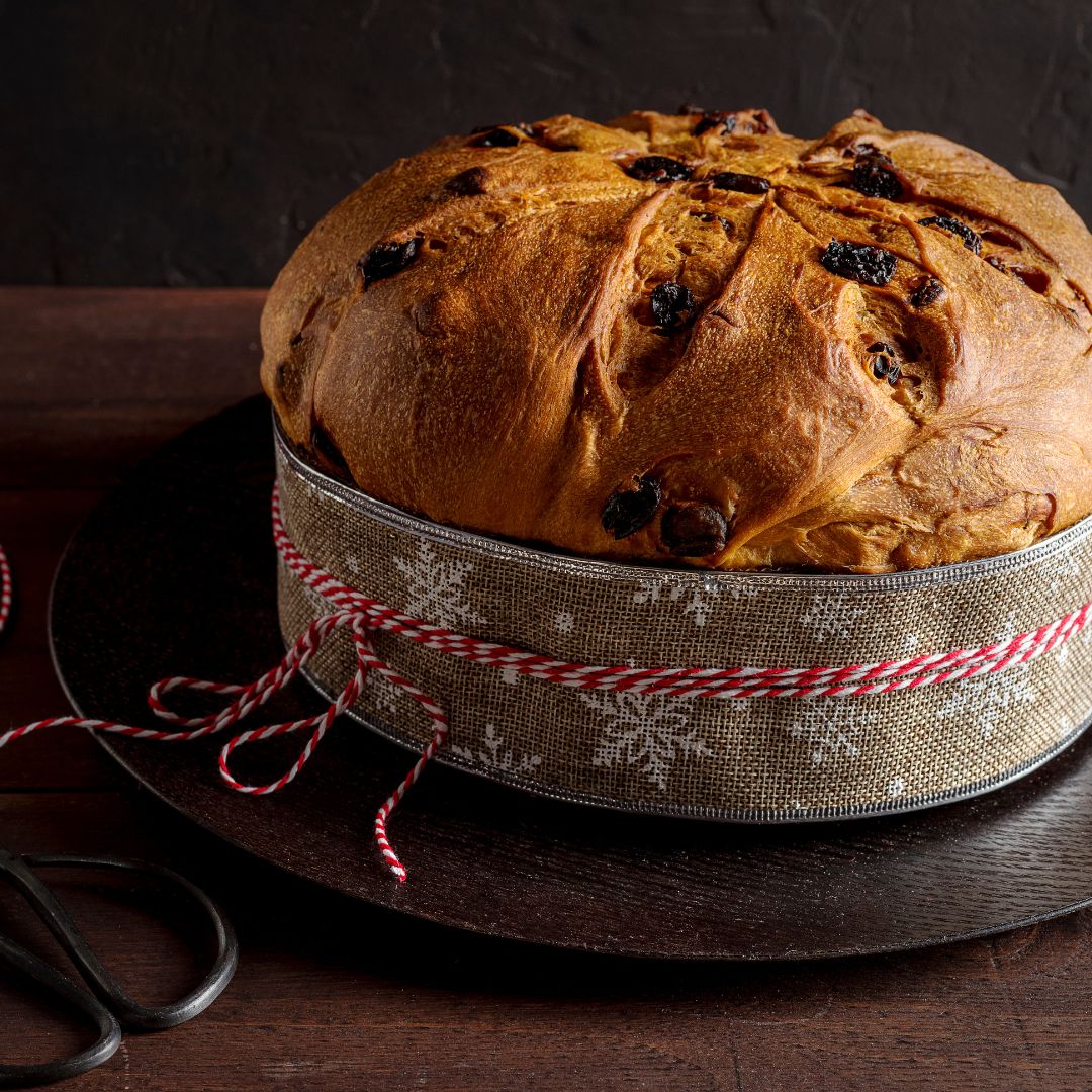 Citrus & Spice Holiday Panettone