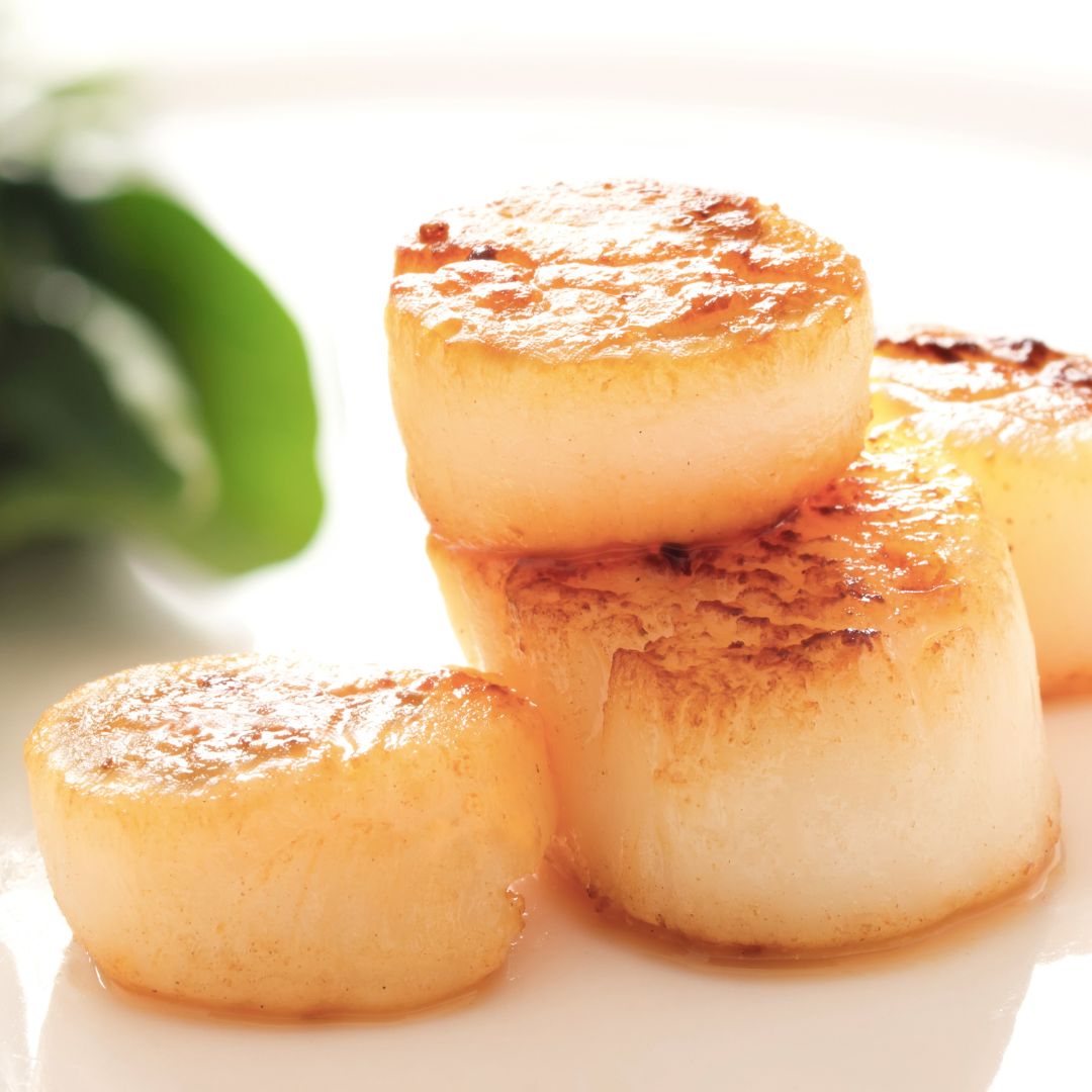 Lemon Scallops on a Navel Orange and Pomegranate Salad at The Little Shop of Olive Oils