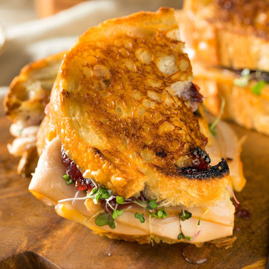 Turkey & Cranberry Balsamic Panini