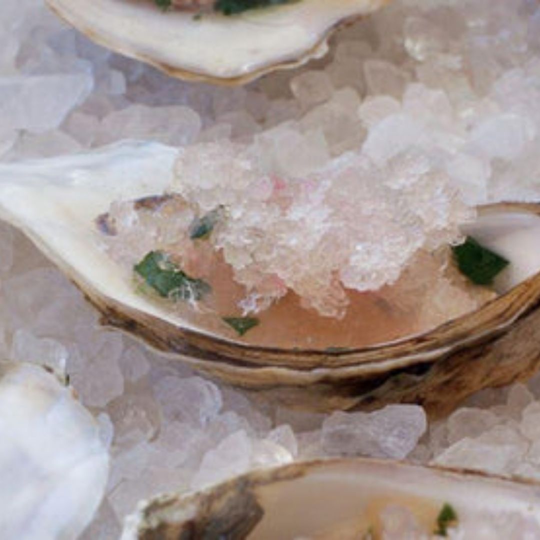 Oysters with Champagne and Shallot Granita | The Little Shop of Olive Oils