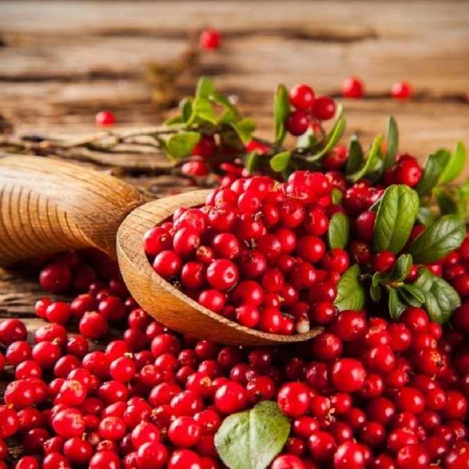 Fresh red cranberries with green leaves piled in a wooden spoon on a rustic wooden surface.