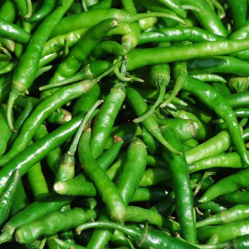 A close-up pile of fresh, bright green Baklouti chili peppers filling the frame.
