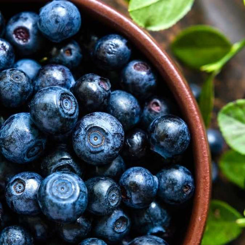 A close-up shot of fresh, plump blueberries in a brown ceramic bowl, with green leaves visible in the background.