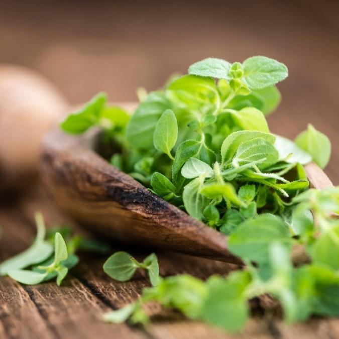 Fresh green oregano herb leaves piled in a small rustic wooden bowl on a wooden surface, with a softly blurred warm brown background.
