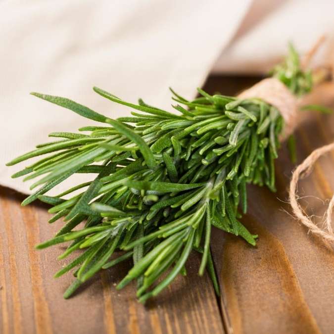 A small bundle of fresh green rosemary sprigs tied with natural jute twine, resting on a wooden surface with a soft beige cloth in the background.