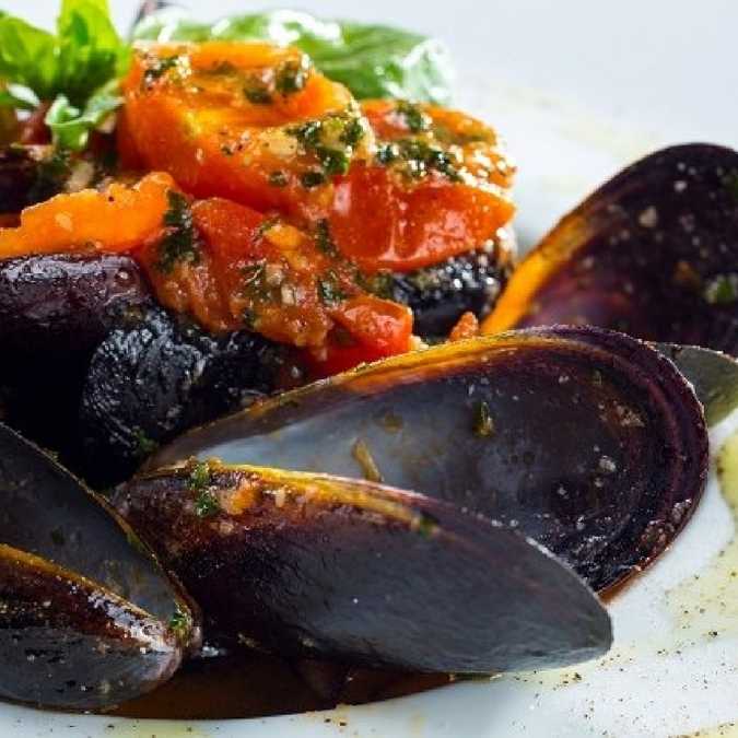 A close-up shot of a seafood dish featuring mussels with a chunky tomato and herb sauce, served on a white plate.