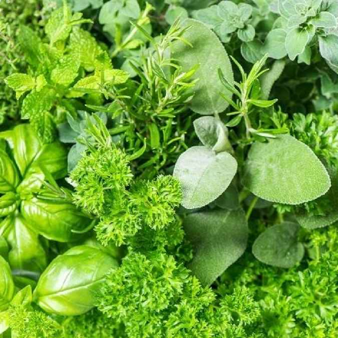 A close-up, top-down view of fresh green herbs, including basil, parsley, sage, and mint, filling the entire frame.